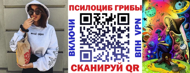 Галлюциногенные грибы Psilocybine cubensis Сортавала