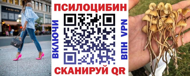 как найти закладки  Сортавала  Галлюциногенные грибы MAGIC MUSHROOMS 